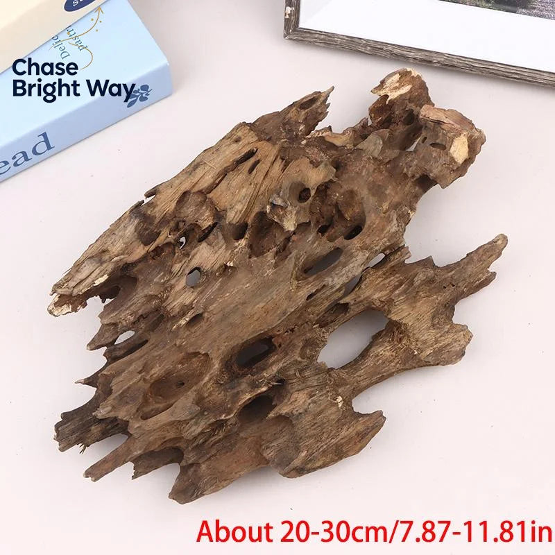 Shrimp Wood Driftwood Aquarium Decor – Natural Fish Tank Ornament