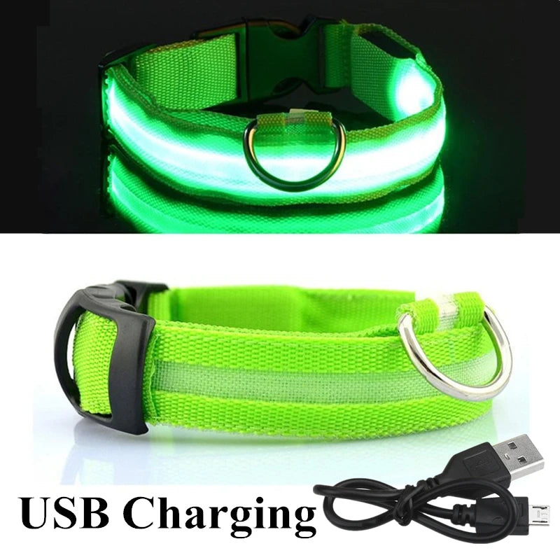 USB Rechargeable LED Dog Collar – Flashing Night Safety Glow