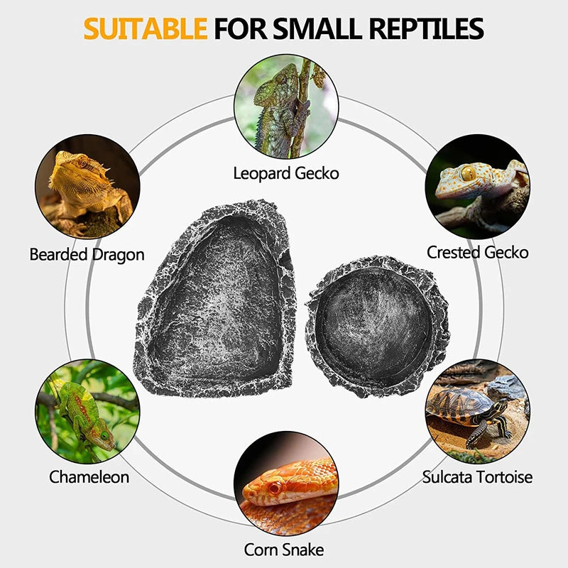 Stone Reptile Food & Water Bowl – Bearded Dragon Dish