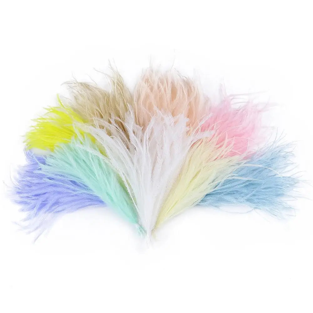 100-Pack Turkey Feathers 10–15cm | DIY Craft & Costume Trim
