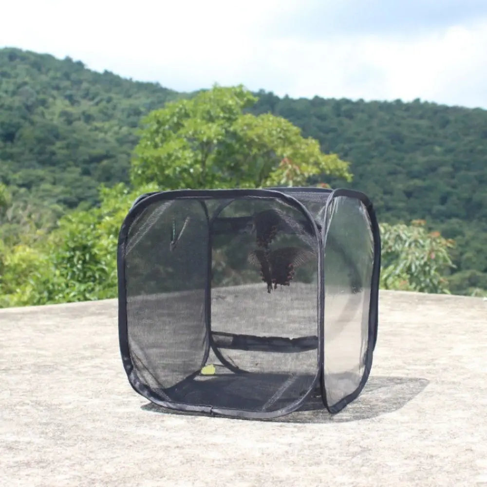 Collapsible Pop-Up Butterfly & Insect Habitat Cage | Black Mesh