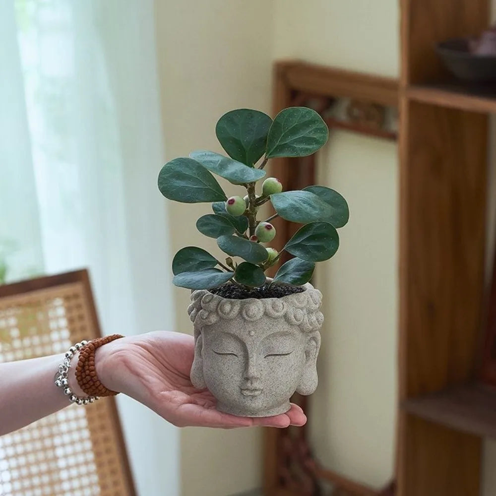 Resin Buddha Head Planter with Drainage Hole | Desktop Statue Pot