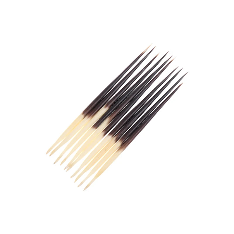 Natural Porcupine Quills – Hair Stick, DIY Crafts & Jewelry