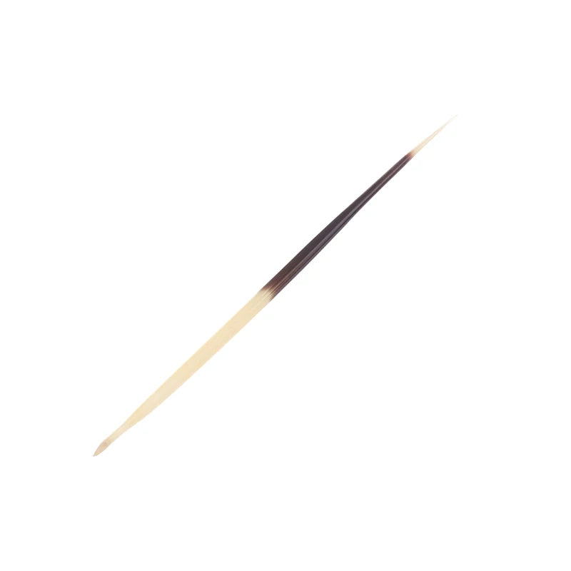 Natural Porcupine Quills – Hair Stick, DIY Crafts & Jewelry