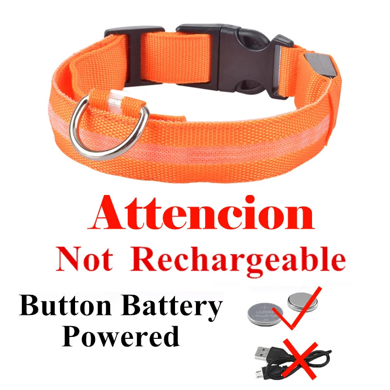 USB Rechargeable LED Dog Collar – Night Safety Glowing Collar