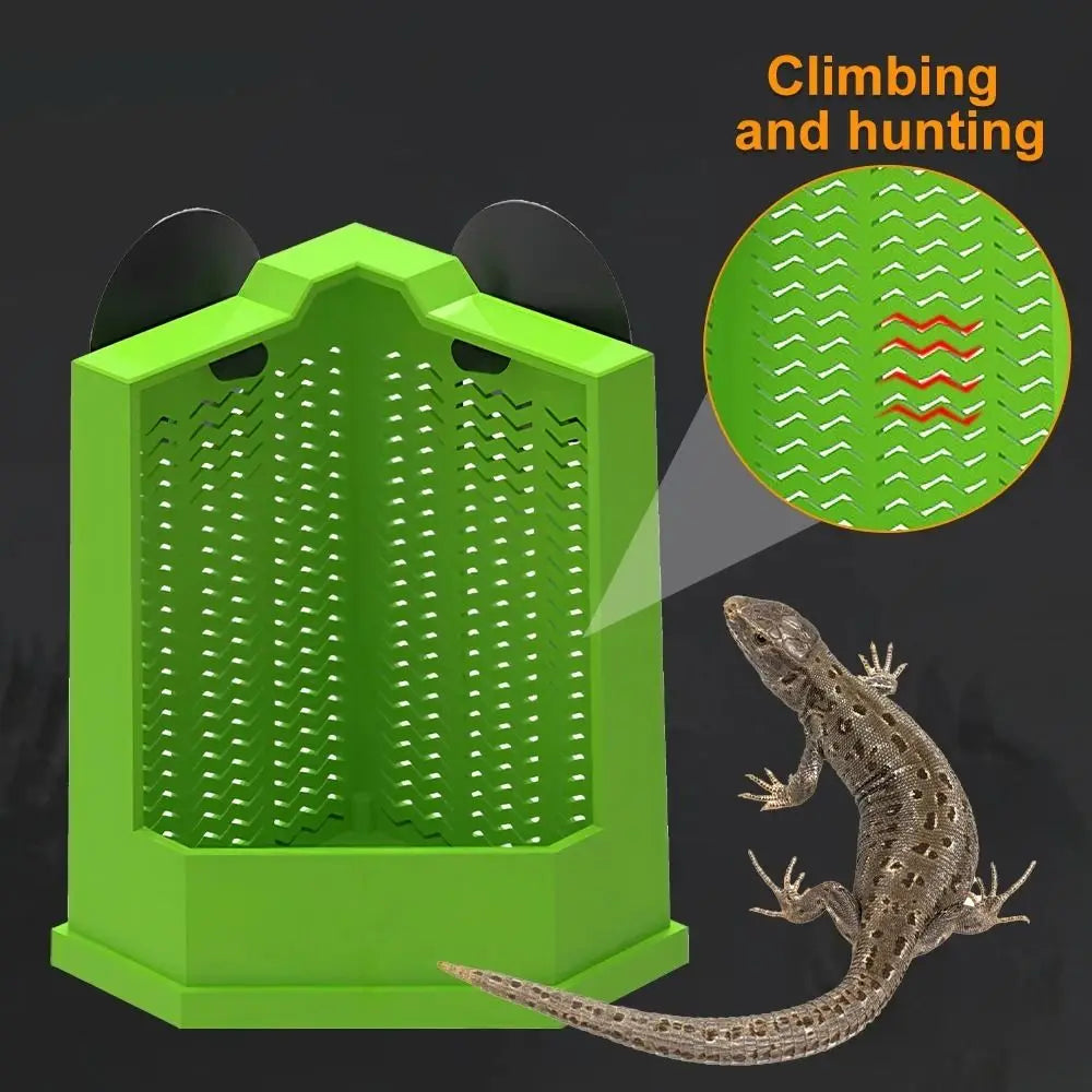 Reptile Hanging Feeding Bowl – Suction Cup Lizard Food Tray