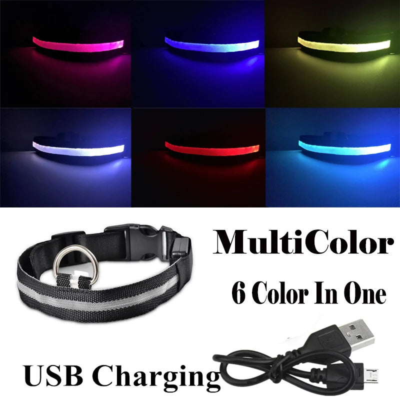 USB Rechargeable LED Dog Collar – Night Safety Glowing Collar