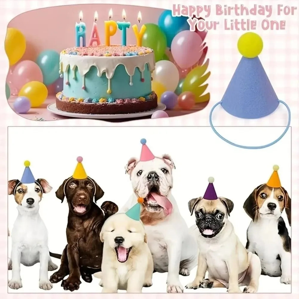 Mini Pet Party Hats – Colorful Cone Hats for Cats & Dogs 6/12pk