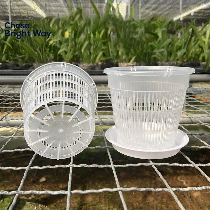 Transparent Mesh Orchid Pot 11cm & 14cm – Air Pruning Planter