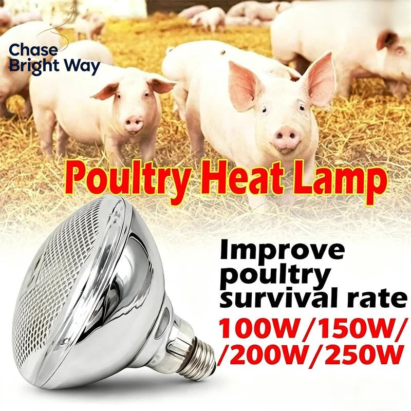 Infrared Heat Lamp Bulb 100W–250W | Poultry & Livestock Brooder