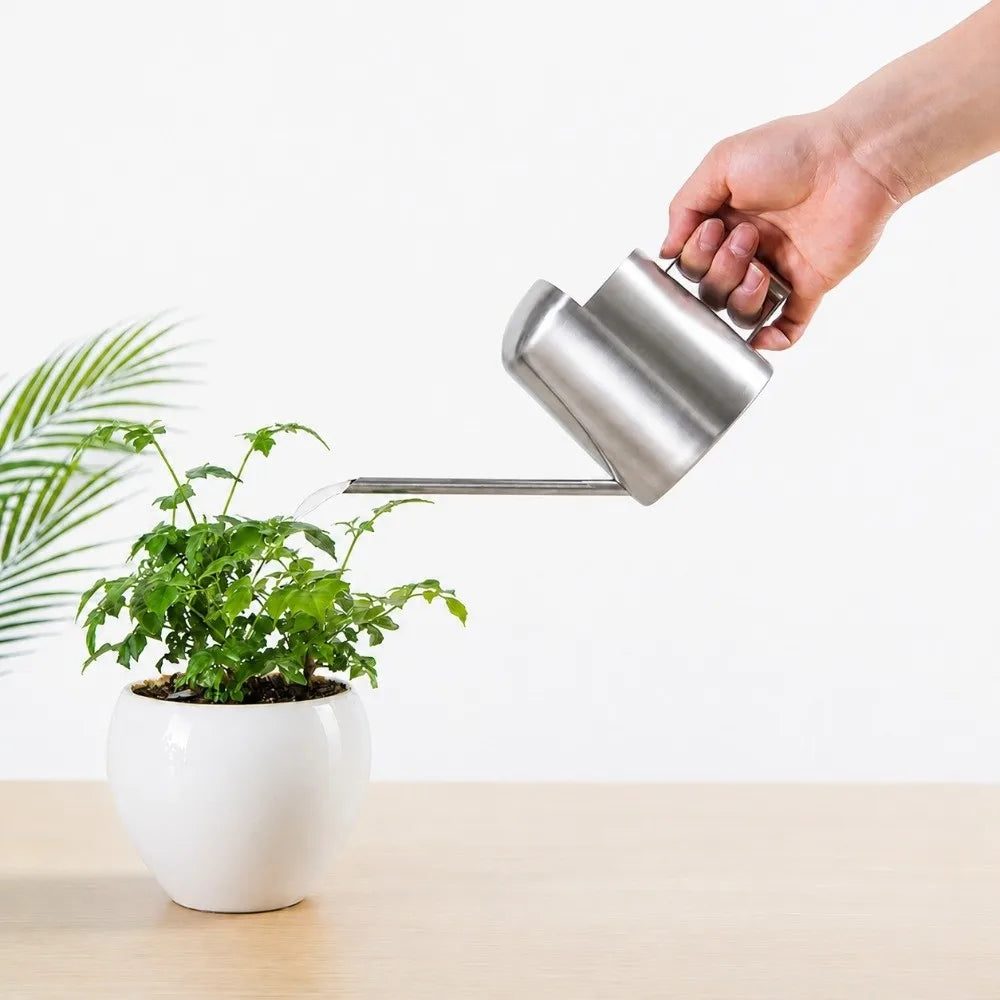 Stainless Steel Watering Can | Long Spout for Bonsai & Houseplants