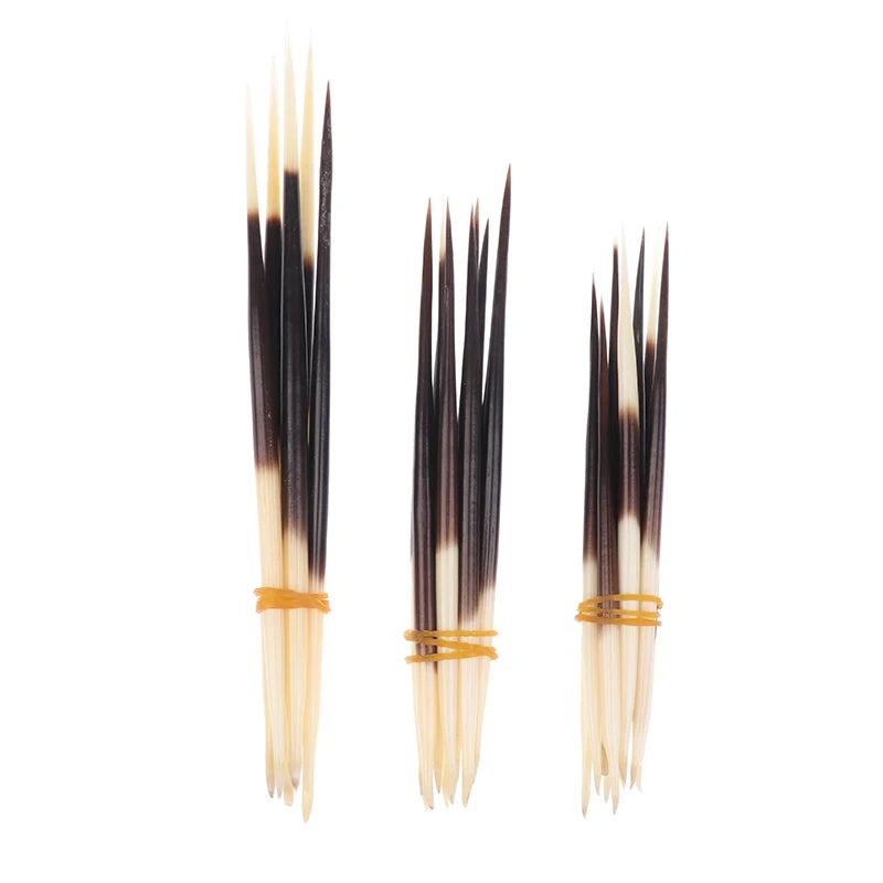 Natural Porcupine Quills – Hair Stick, DIY Crafts & Jewelry
