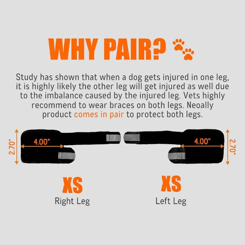 Dog Front Leg Brace – PC Strips, Adjustable & Reflective