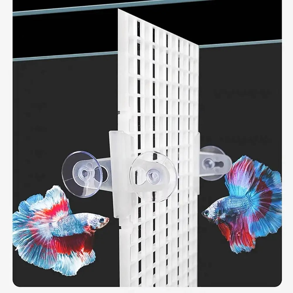 Plastic Grid Divider Board – Aquarium & Garden Separator 30x30cm