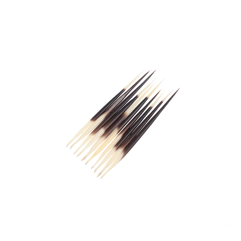 Natural Porcupine Quills – Hair Stick, DIY Crafts & Jewelry