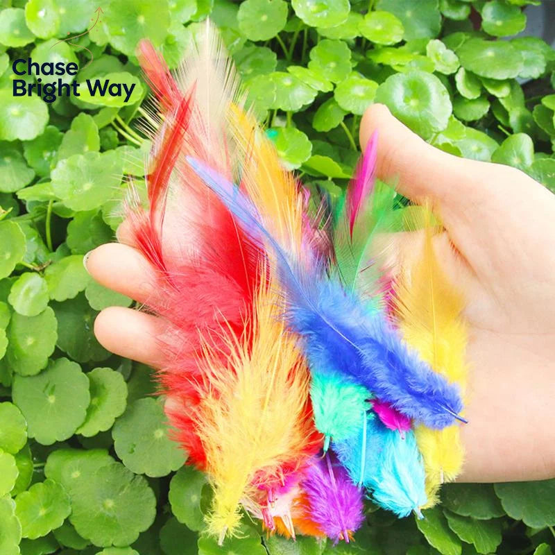 50-Pack Natural Chicken Feathers 7–15cm – DIY Crafts & Décor