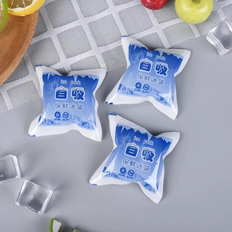 Reusable Gel Ice Pack – Auto Water Absorption | Food Fresh