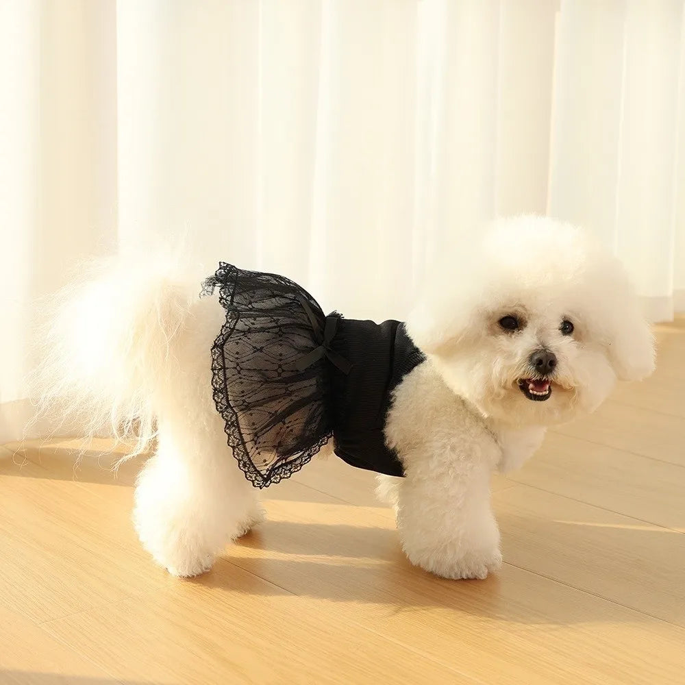 Princess Lace Dog Skirt Dress – Summer Pet Vest Clothing