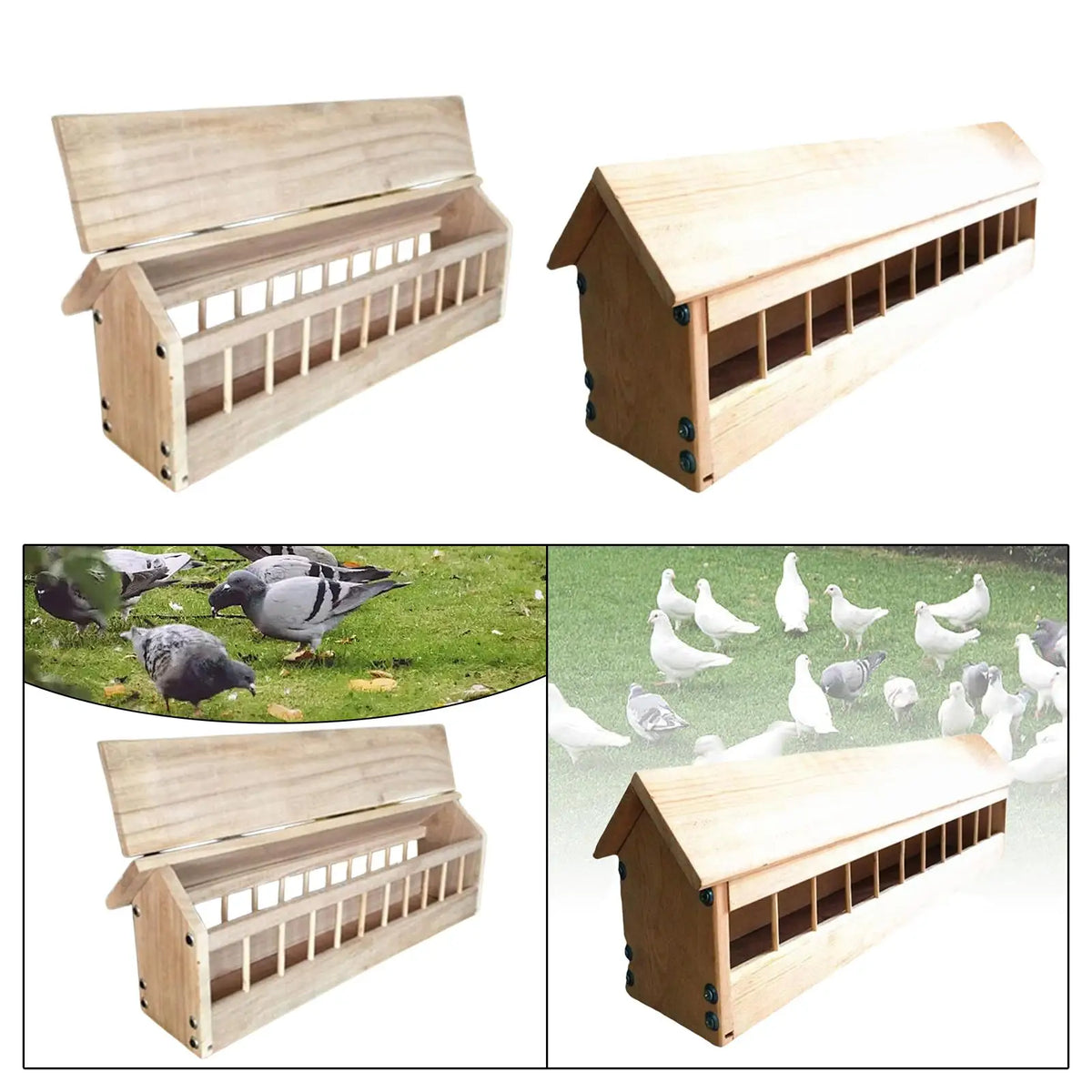 Wooden Pigeon & Chicken Feeder Trough – Low-Waste Bird Bowl