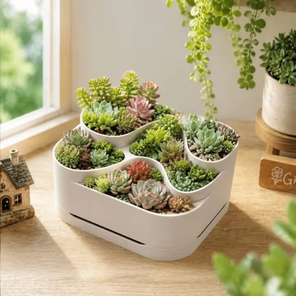 White Tiered Succulent Planter – Compartment Flower Pot