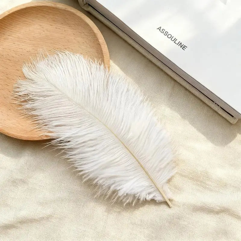 Soft Decorative Ostrich Feather Plume – DIY Boho Home Decor