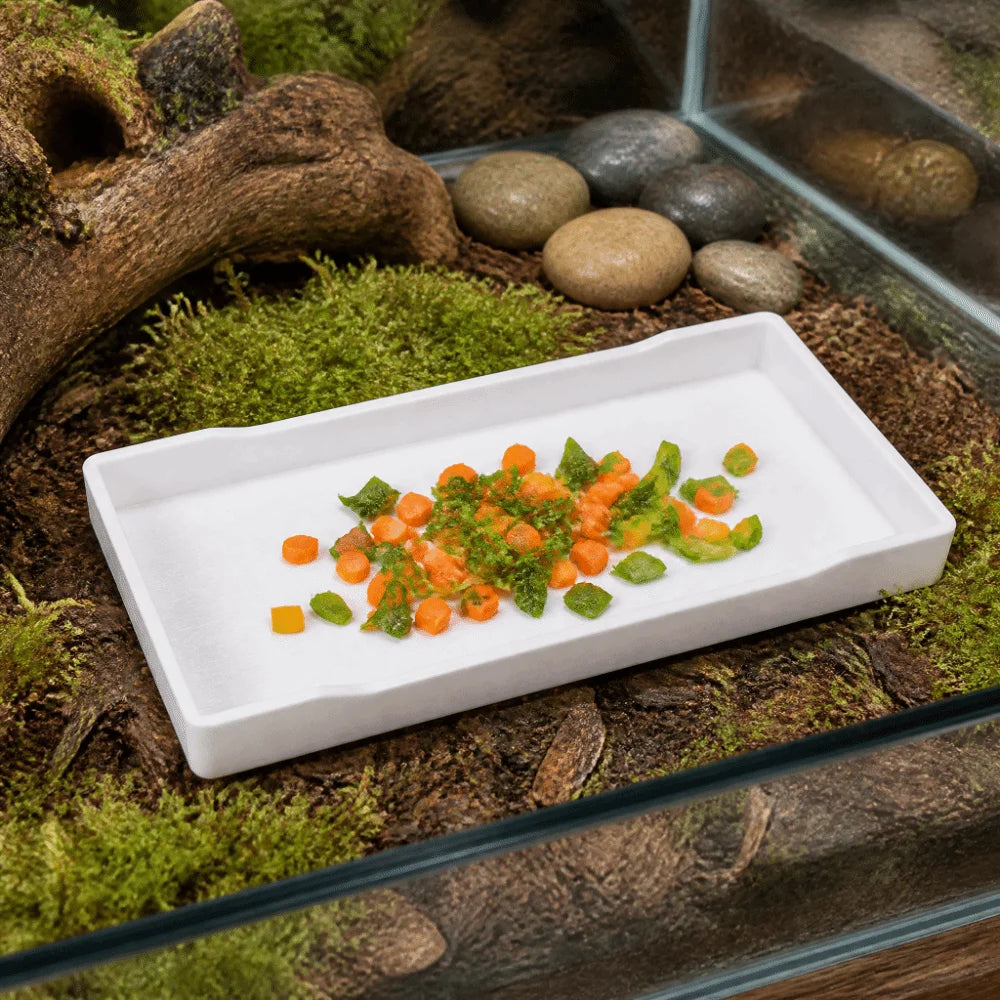 Reptile Feeding Dish – Large Anti-Slip Food & Water Tray