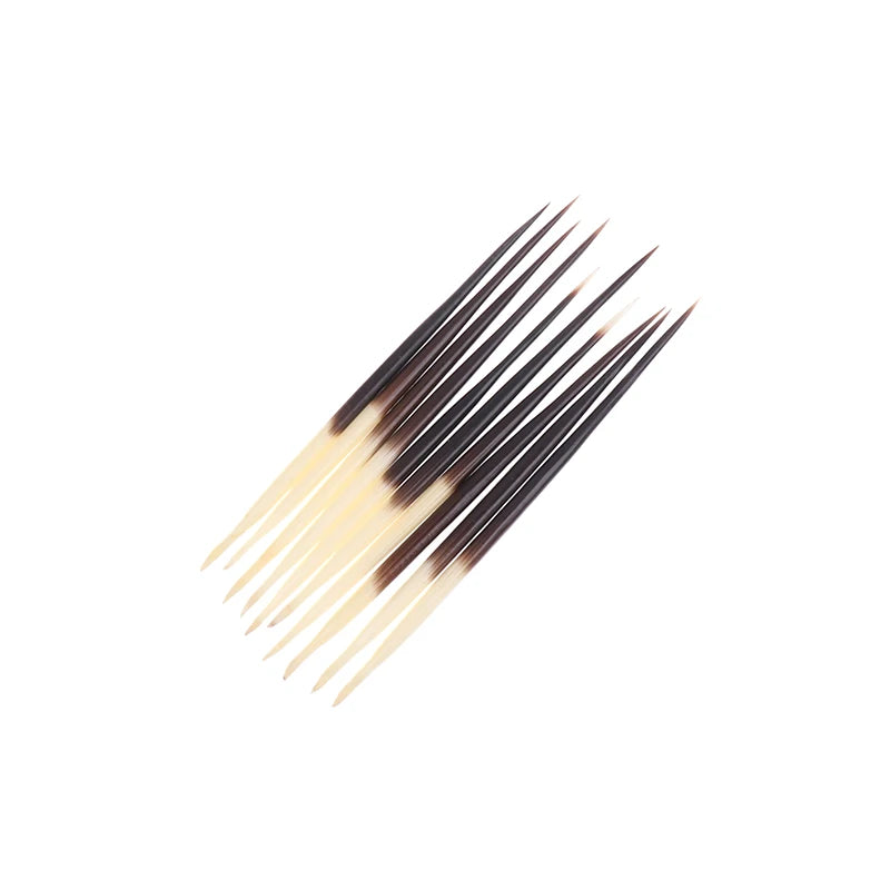 Natural Porcupine Quills – Hair Stick, DIY Crafts & Jewelry