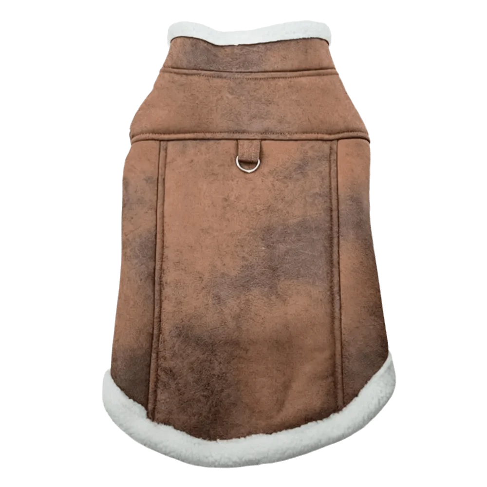 Small Dog Padded Vest Coat – Cotton Sleeveless Jacket & Leash Buckle