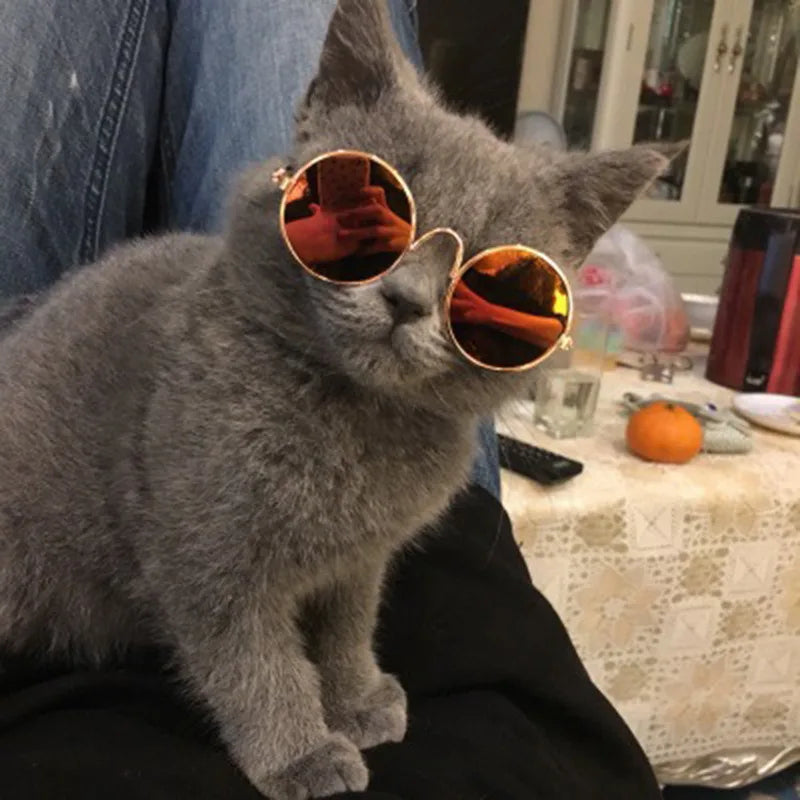 Vintage Round Pet Glasses – Dog & Cat Photo Prop Eyewear
