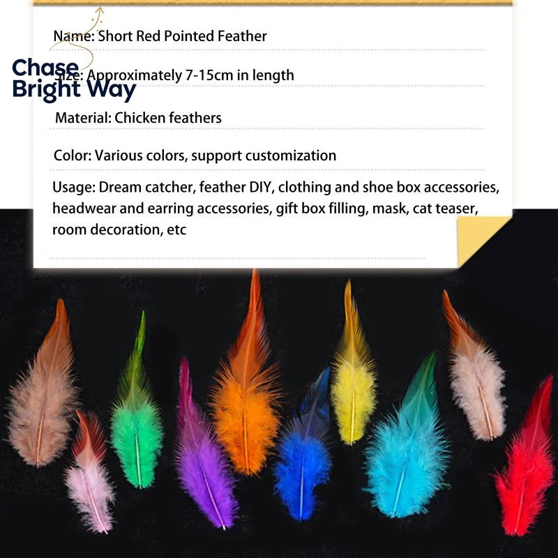 50-Pack Natural Chicken Feathers 7–15cm – DIY Crafts & Décor