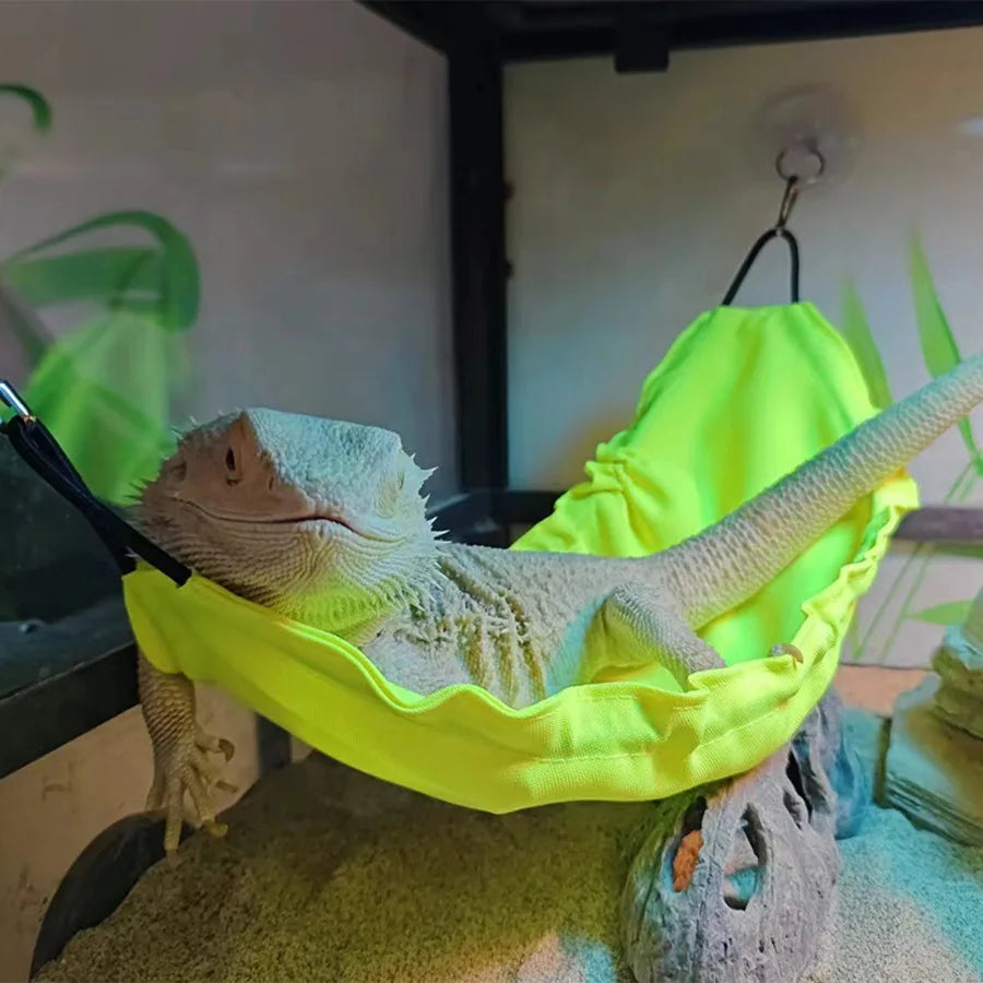 Reptile Hammock Swing Bed – Lizard Gecko Terrarium Decor