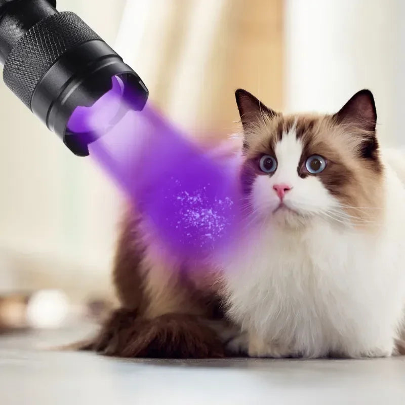 UV Black Light Flashlight 365/395nm Zoomable Ultraviolet Torch