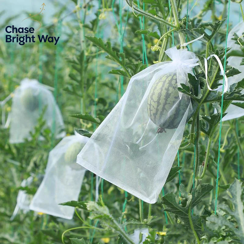 50-Pack Fruit Protection Mesh Bags – Bird & Pest Guard
