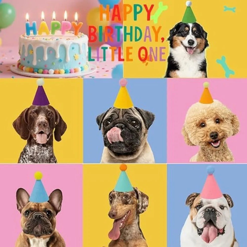 Mini Pet Party Hats – Colorful Cone Hats for Cats & Dogs 6/12pk
