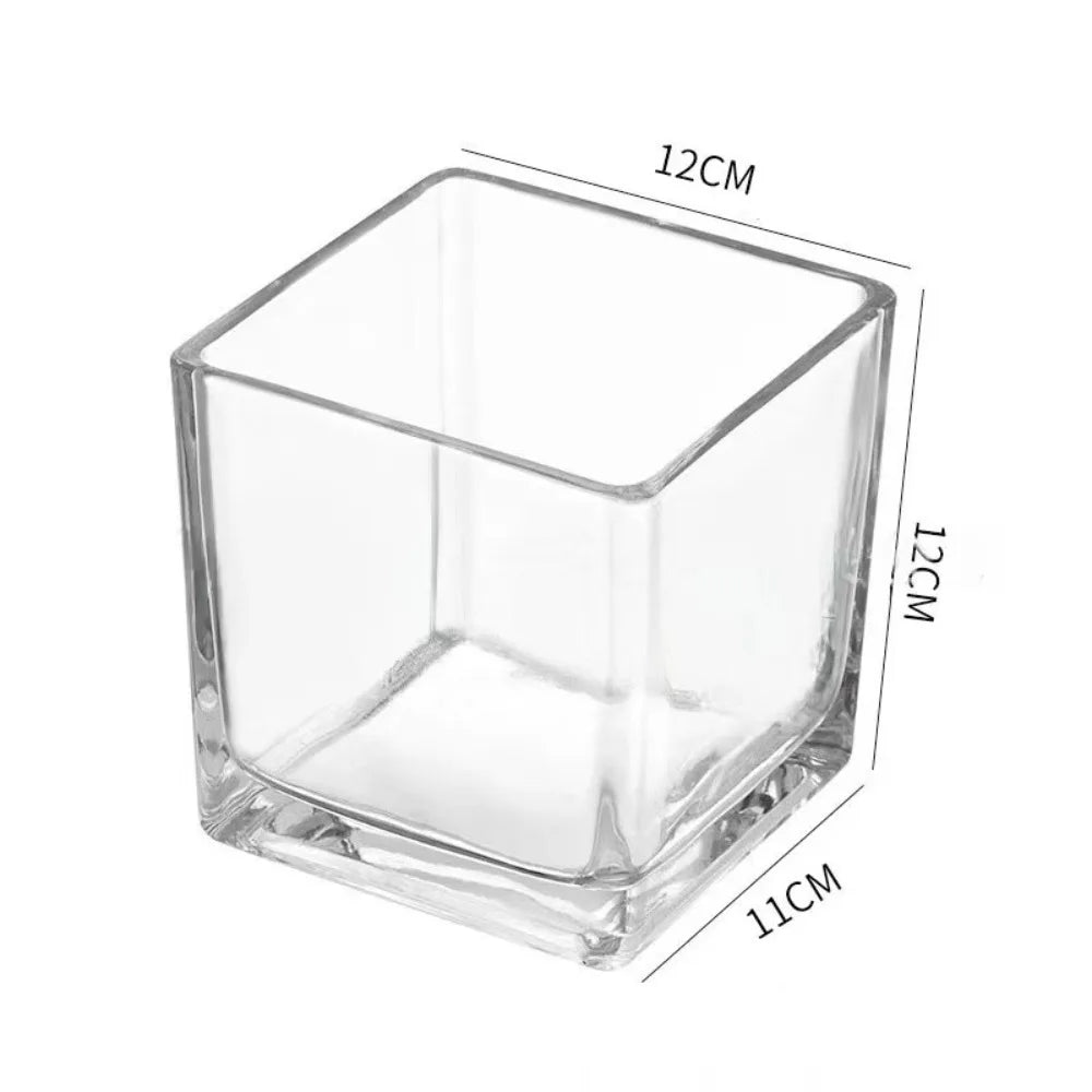 Transparent Square Glass Vase – Geometric Hydroponic Planter