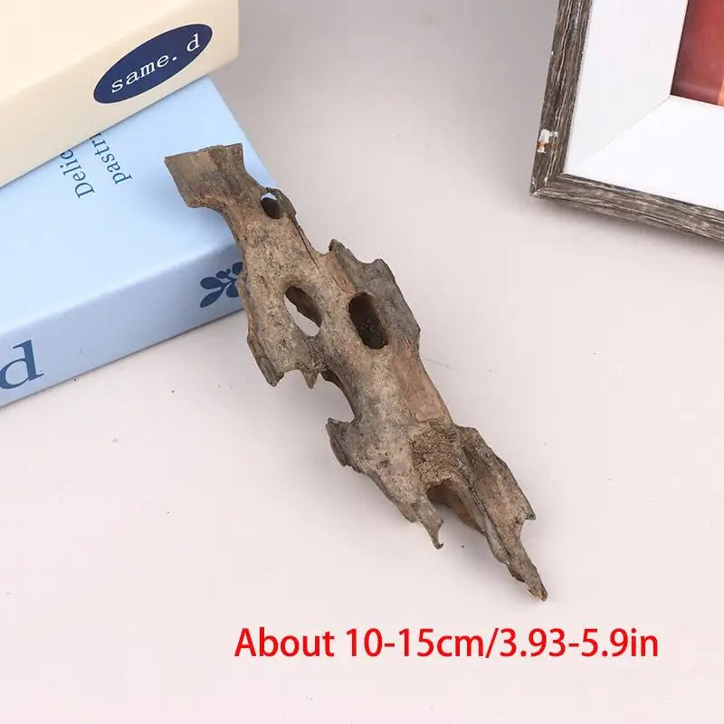 Shrimp Wood Driftwood Aquarium Decor – Natural Fish Tank Ornament