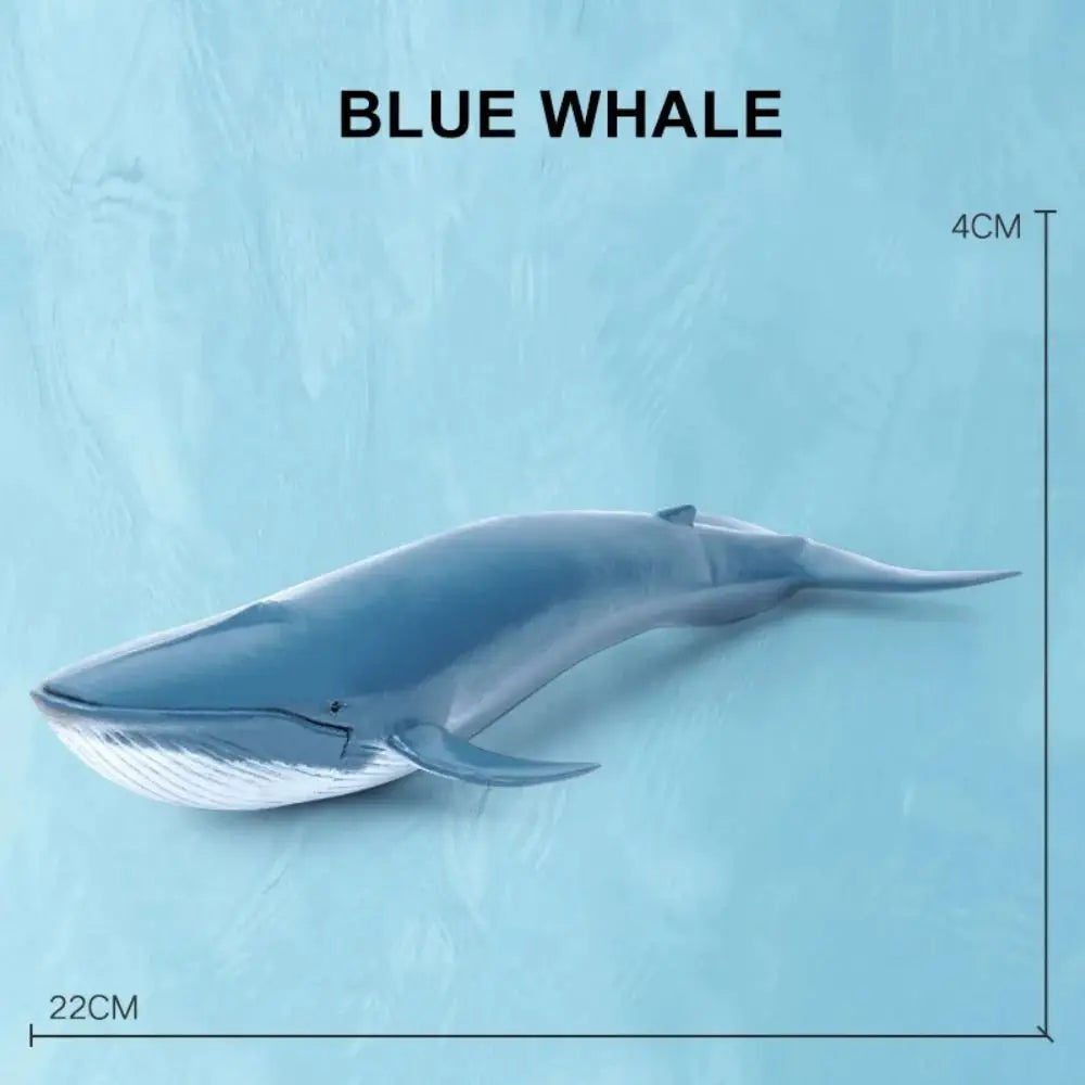 Ocean Marine Animal PVC Figurines – Shark & Whale Edu Toys