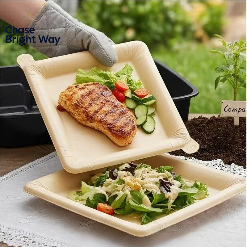 Disposable Kraft Paper Plates 20-Pack | BPA-Free, Oil & Water Resistant