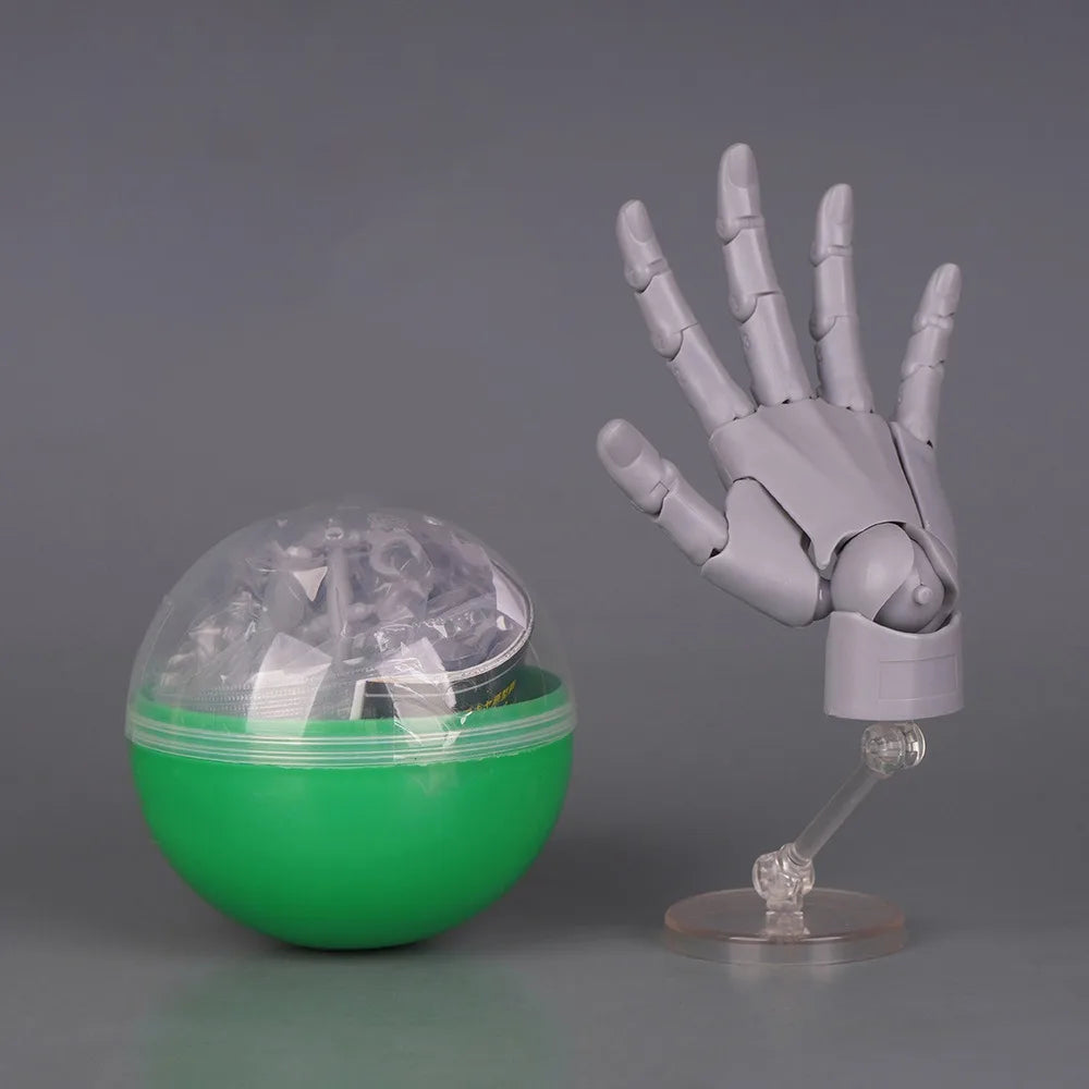 1:2 Scale Articulated Hand Model – Posable Fingers Art Figure