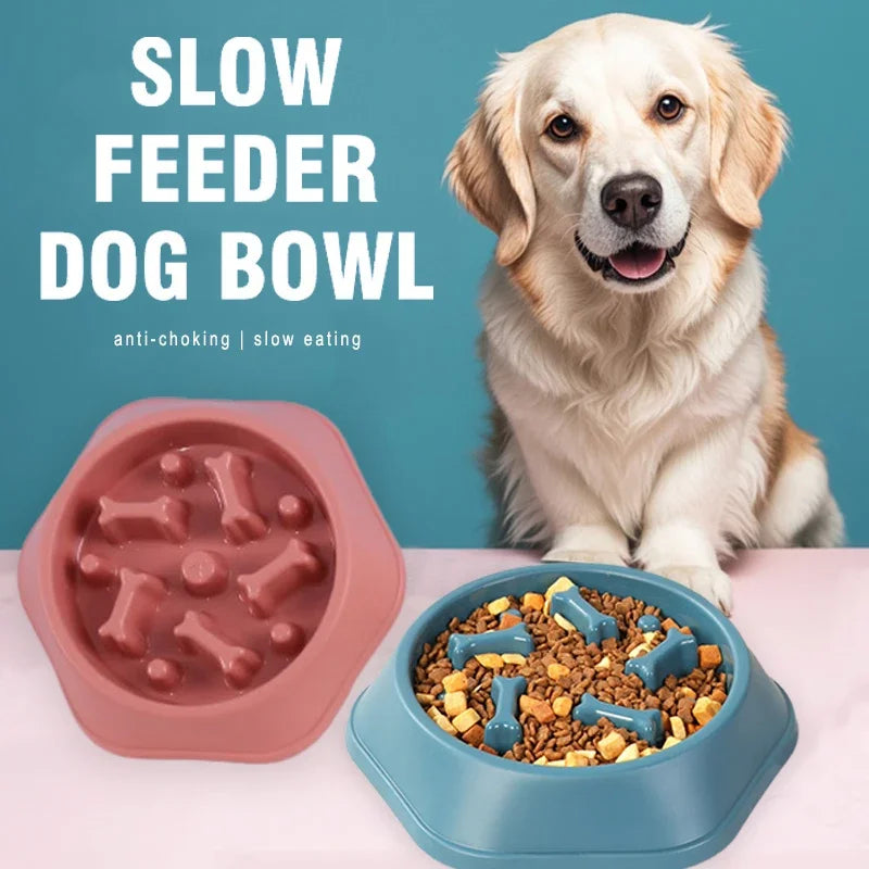Slow Feeder Dog Bowl – Anti-Slip Puzzle Dish for Dogs