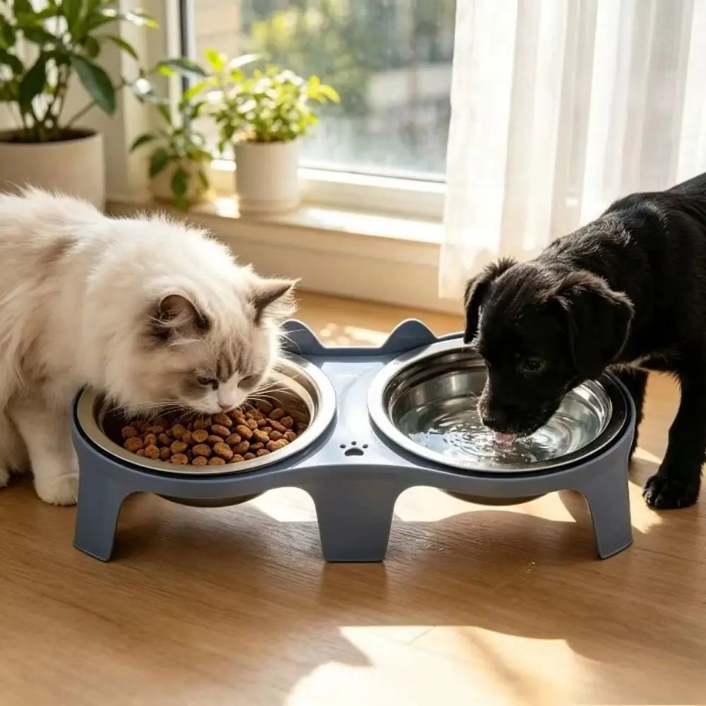 Raised Double Cat Bowl Set – Stainless Steel & Plastic Stand