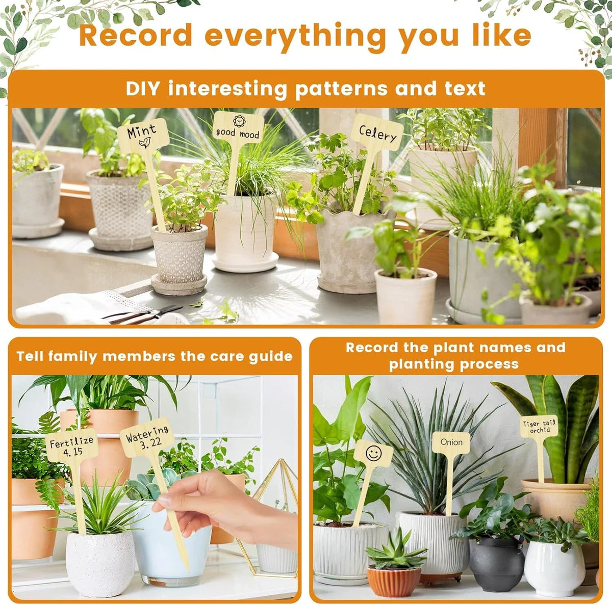 T-Type Bamboo Plant Labels | Eco-Friendly Garden Markers 10–30Pk