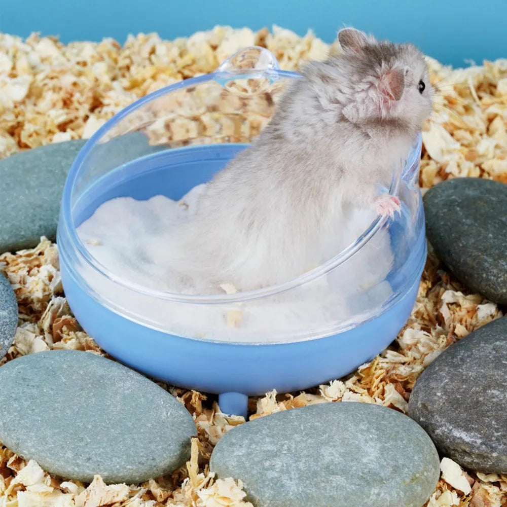 Hamster Sand Bath Box – Transparent Small Animal Container