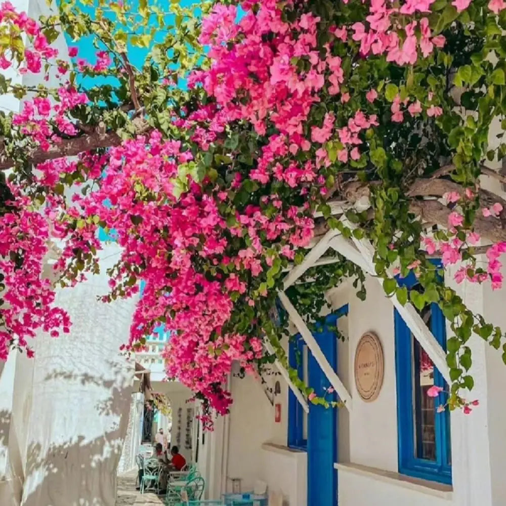 UV Resistant Artificial Silk Bougainvillea Branch 80cm Trailing