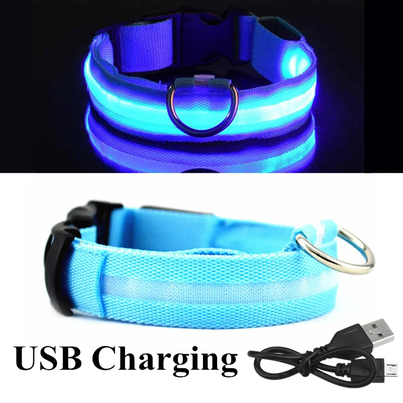 USB Rechargeable LED Dog Collar – Night Safety Glowing Collar