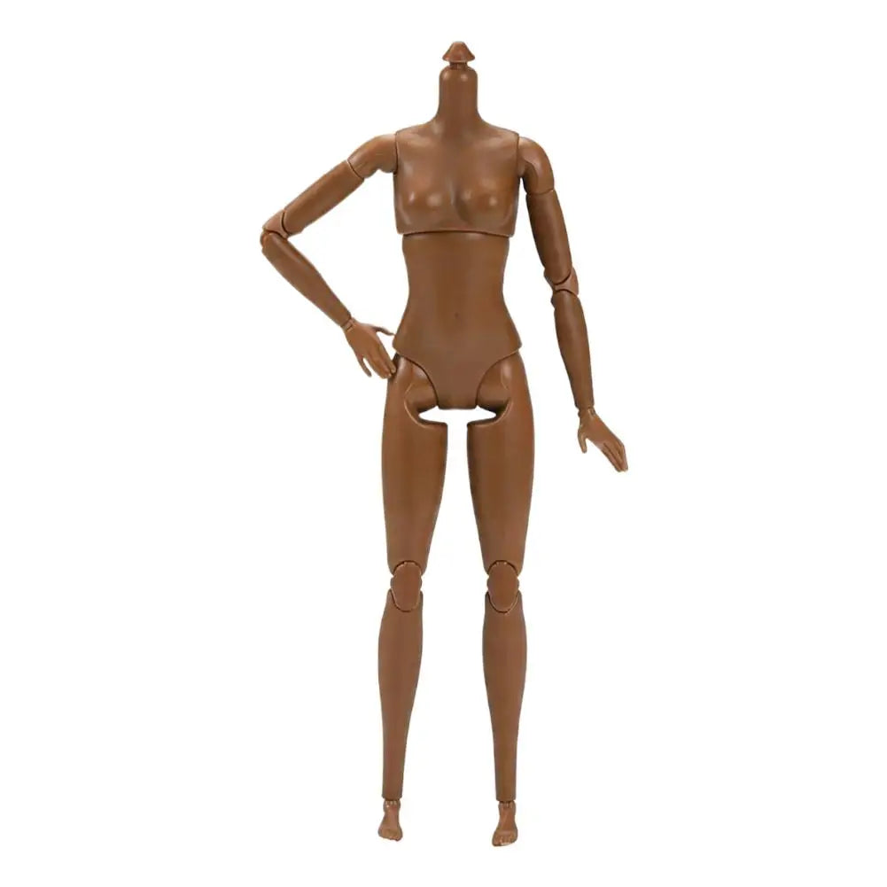 1/6 Scale 22-Joint Female BJD Doll Body – Articulated Figure