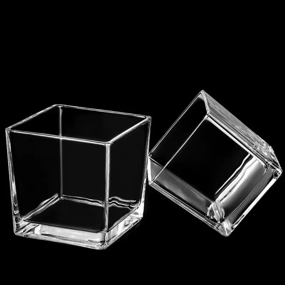 Transparent Square Glass Vase – Geometric Hydroponic Planter