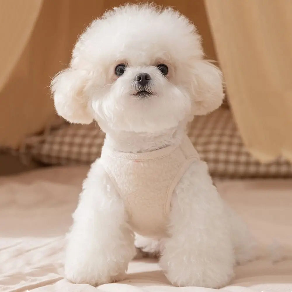 Cartoon Bear Fleece Dog Vest – Warm Windproof Puppy Costume