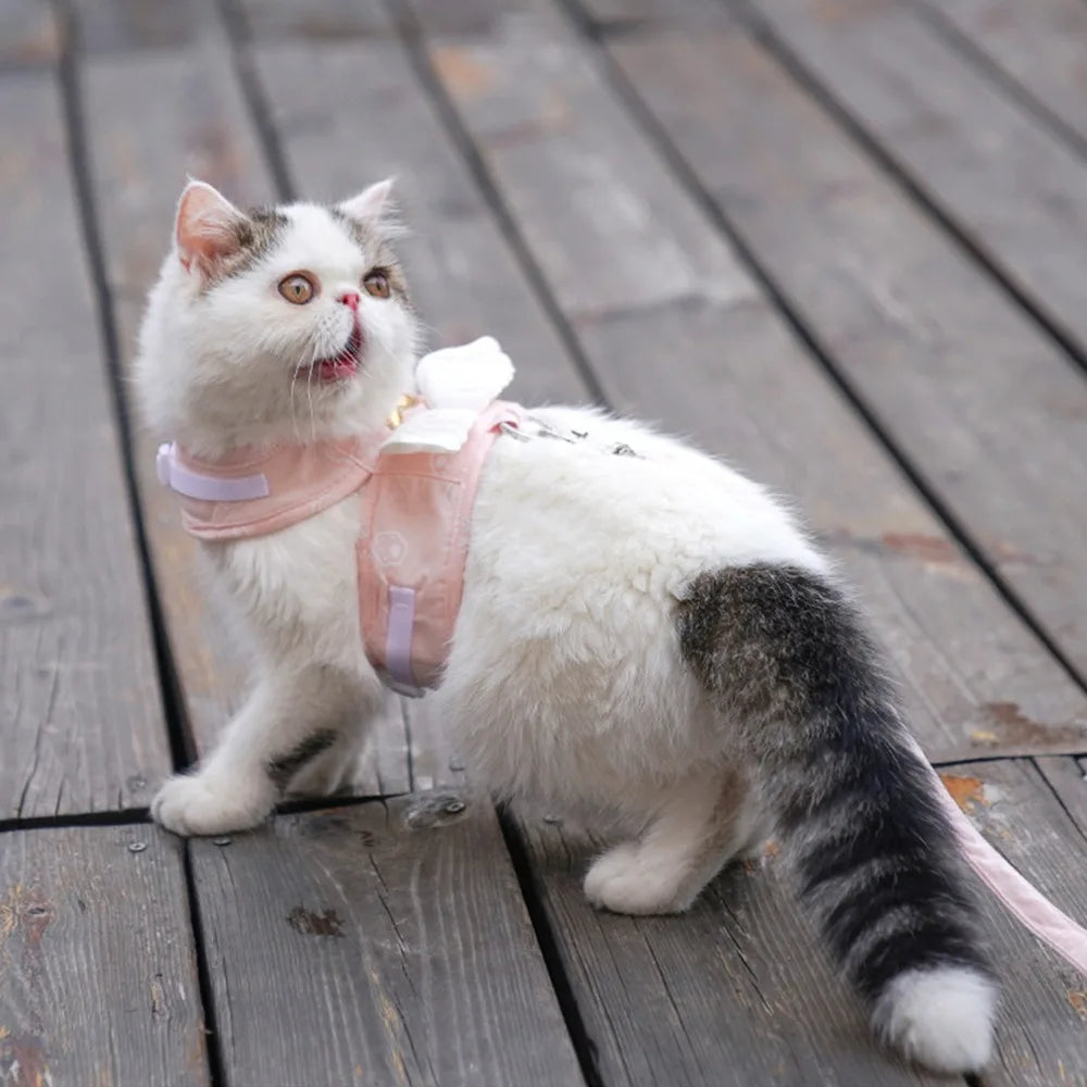 Angel Wings Cat Vest Harness & Leash – Adjustable, All Seasons