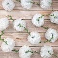 Tissue Paper Pom Pom Garland 2.5m – Hanging Party Décor